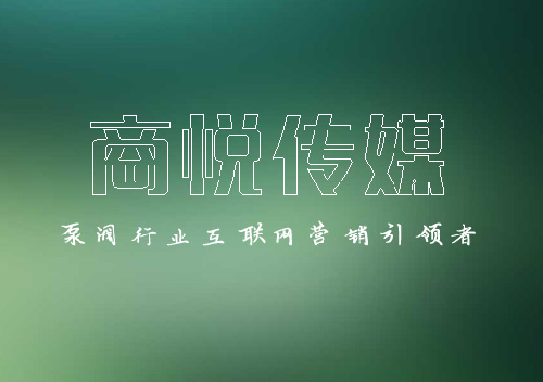 -低至5块钱泵阀关键词优化，新的一年企业网络推广走起~