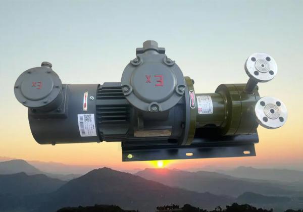 -上海巧旭高压磁力旋涡泵 定制方案护航精细输送